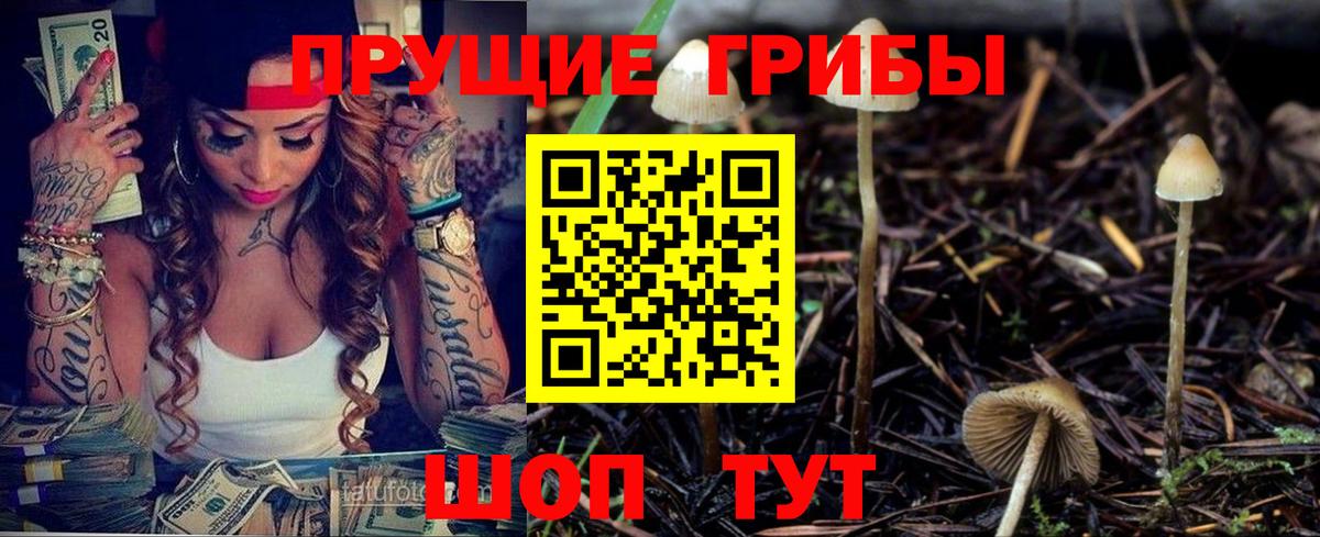 Туймазы  Псилоцибиновые грибы Magic Shrooms  Вход с VPN 