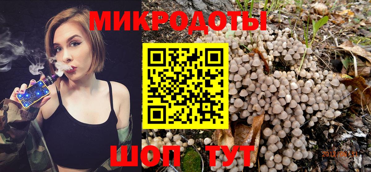 Галлюциногенные грибы Psilocybine cubensis Туймазы